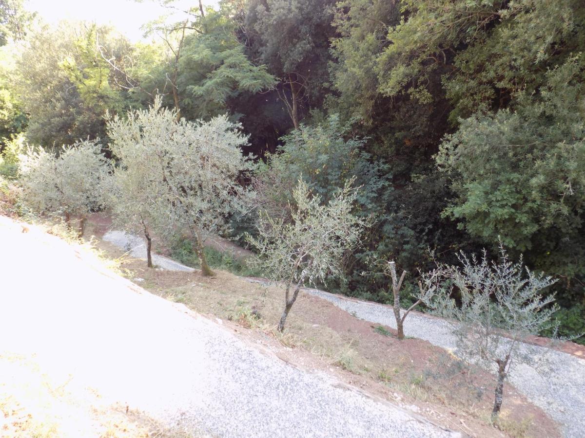 Fattoria Ceragioli Hébergement de vacances Camaiore