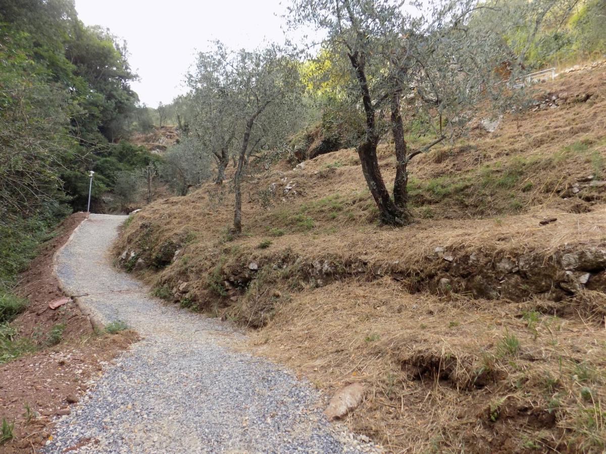 Fattoria Ceragioli Hébergement de vacances *