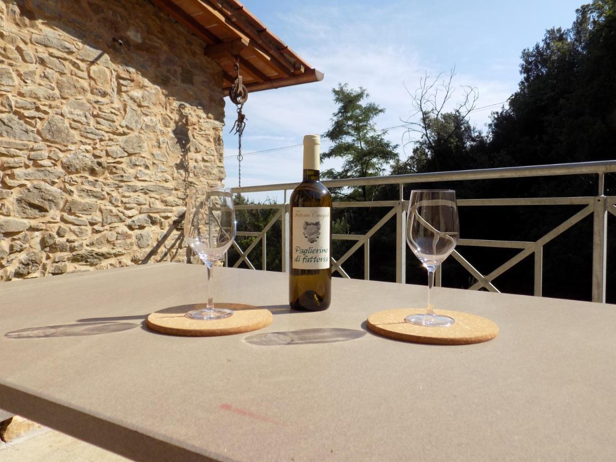 Fattoria Ceragioli * Camaiore