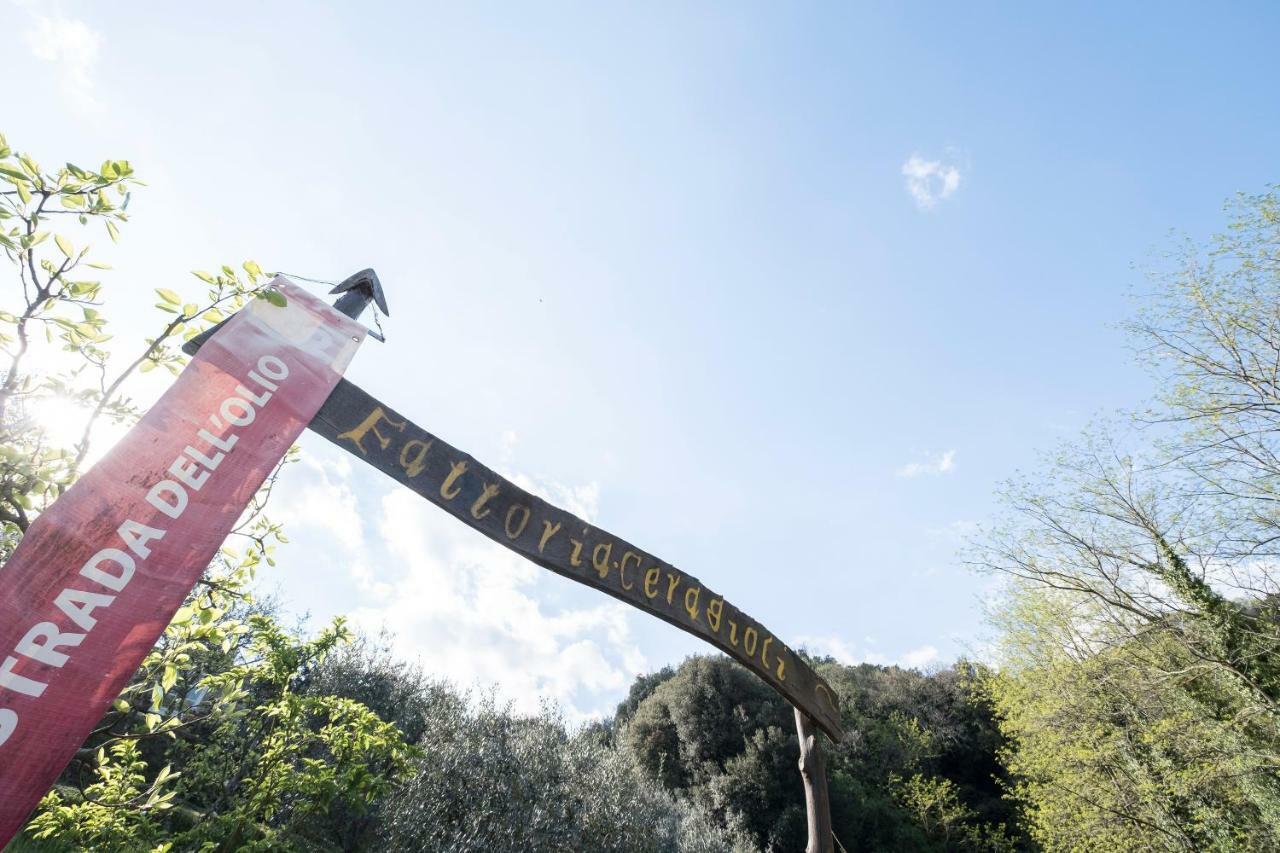 Hébergement de vacances Fattoria Ceragioli
