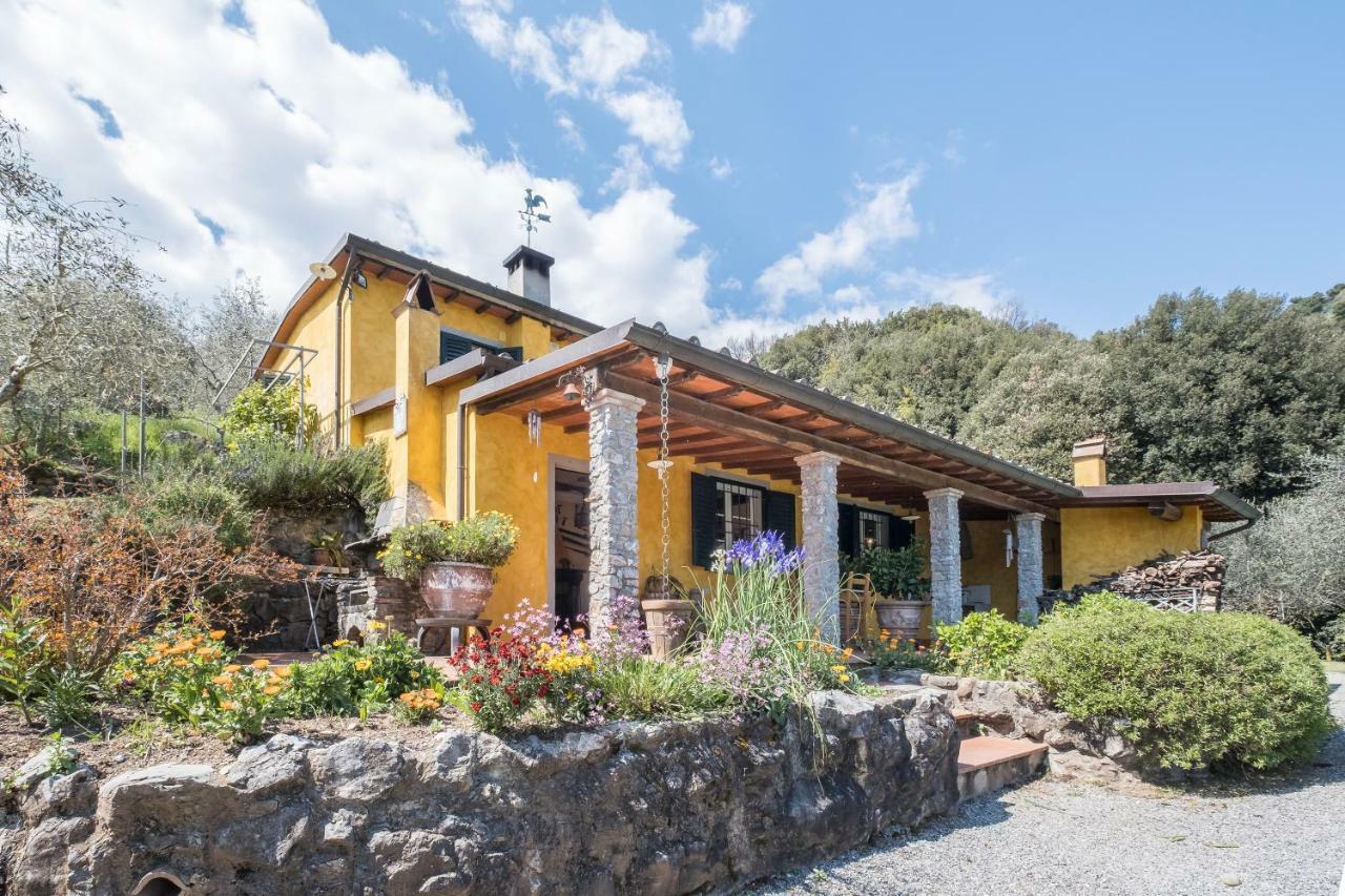Hébergement de vacances Fattoria Ceragioli Camaiore