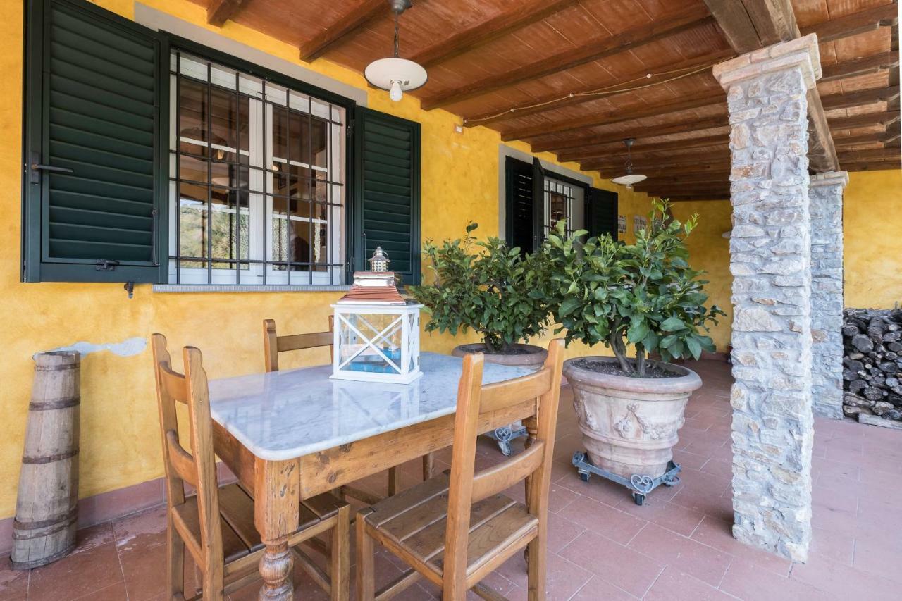 Fattoria Ceragioli * Camaiore